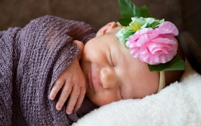 A Whisper of Her Beginning: Phoebe